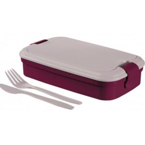 Svačinový box, fialový