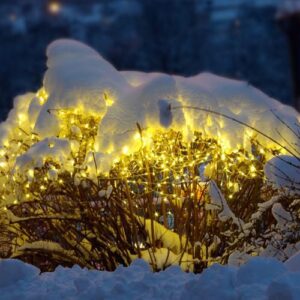 diLED světelná síť 100 LED, teple bílá, bez trafa