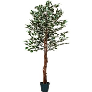 Umělý fíkus 160 cm s pravým dřevem do interiéru